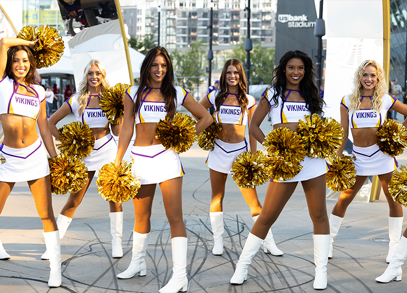 More Info for Vikings v. Baltimore Ravens