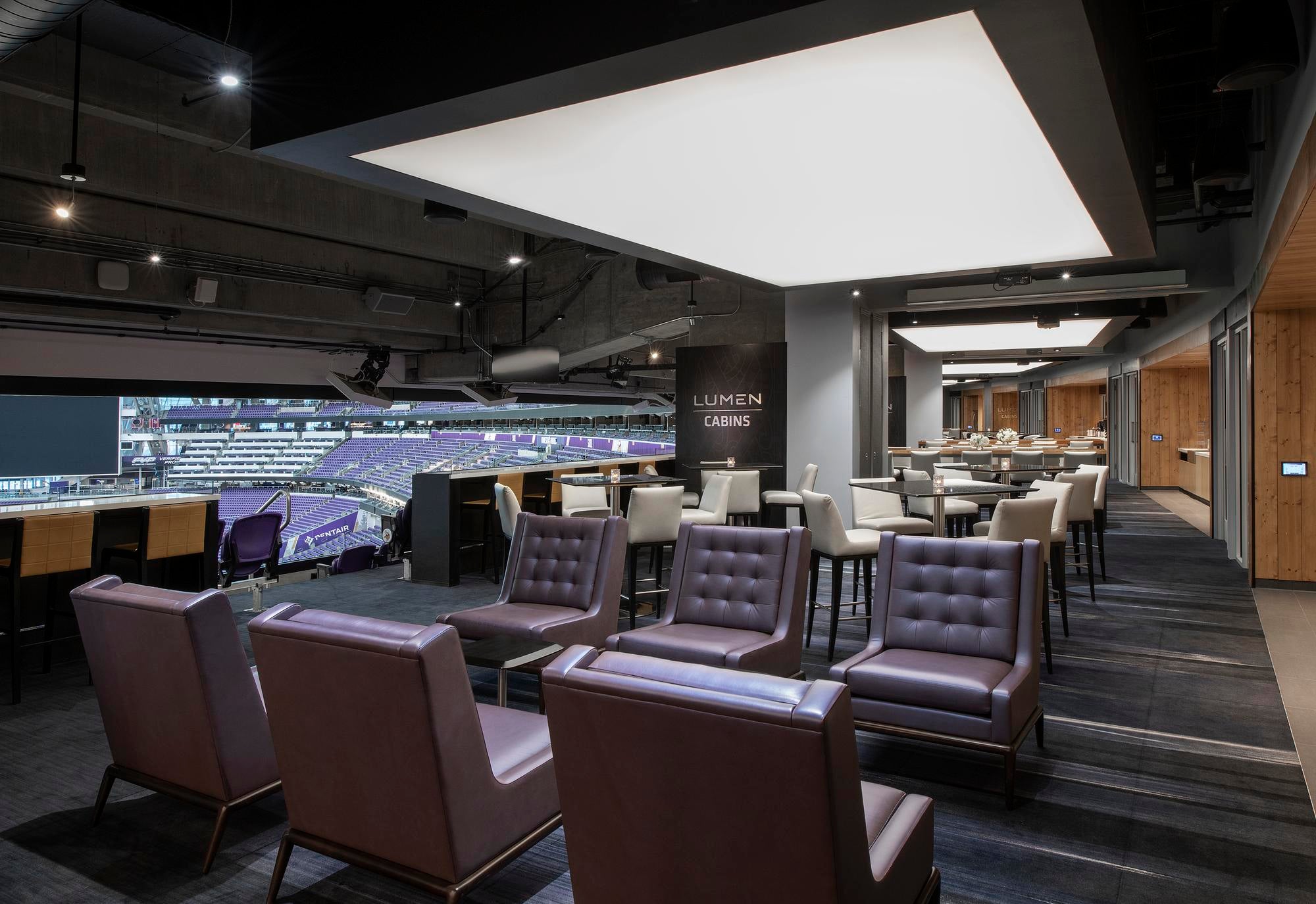 minnesota vikings suites